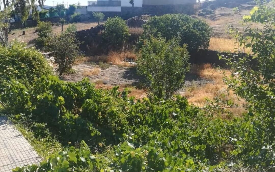 Terreno residencial en venta. en Alcántara